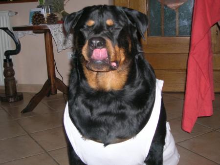 mon marcel me plait bien....c'est cool pour cet �t�,non?