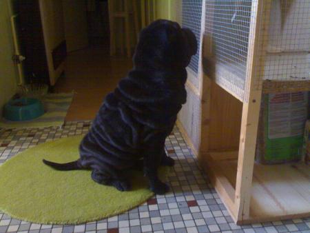 notre future nouvelle copine!!!!! youpi