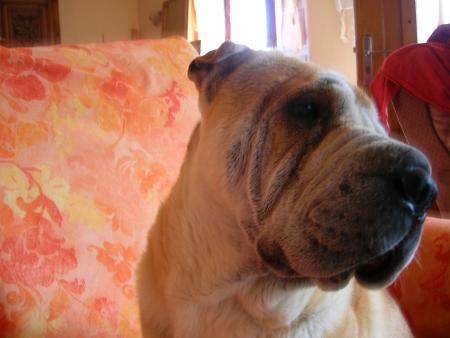 bon y'a quoi � la t�l�?