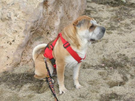 mon maitre peche,moi je guette,on ne sais jamais