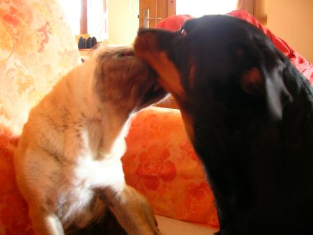 c'est beau l'amour...