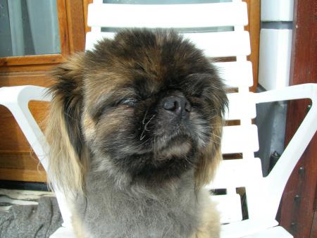 un petit moment de chaise longue,et apr�s on verra