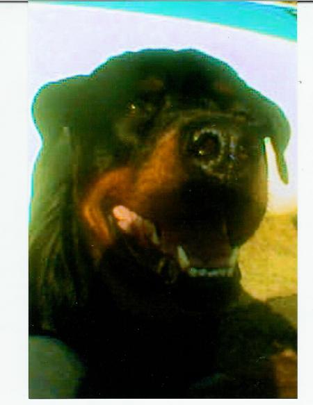 wouah!je me suis fait peur sur cette photo! lol