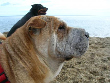 tu vois quelque chose toi?