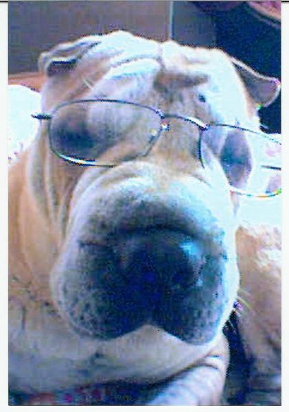 j'ai l'impression d'avoir la vue qui baisse