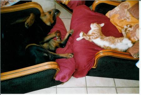 gros dodo avec Rocky