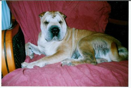 �a y est j'ai retrouv� mon fauteuil!