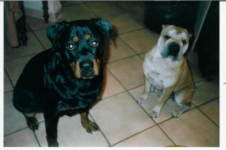 souris!on nous prend en photo!