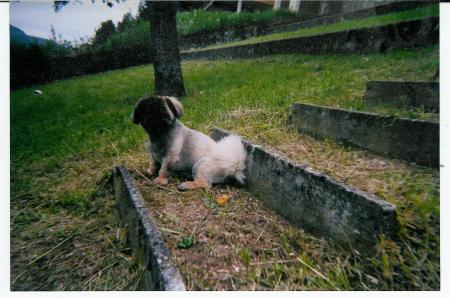 mes copains sont � la mer et moi je garde la maison,na!!!!