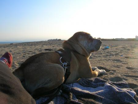 c'est pas bo la vie!