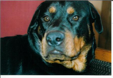 eh!eh! j'lui ai piqu� sa place...