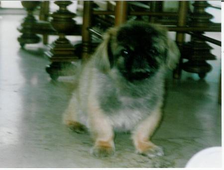 eh moi!j'suis l�!!!!