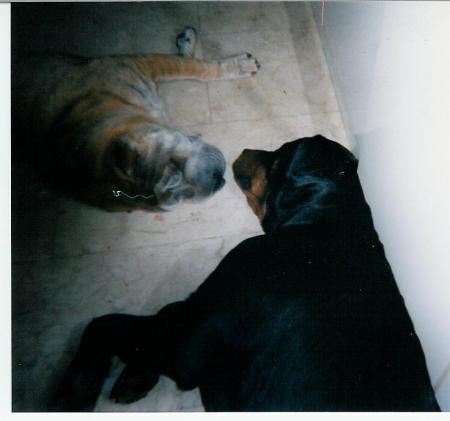 tu devrais changer de dentifrice mon coeur!