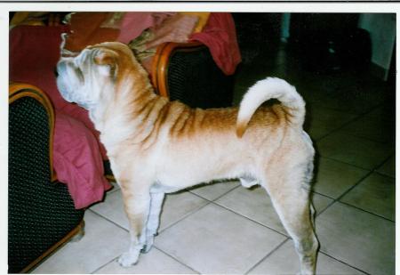 bon, faut pas me les briser,l� c'est Ma place!!!!