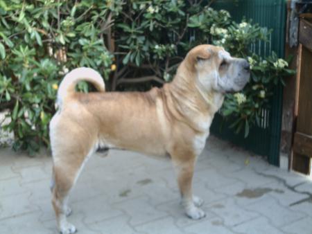 un pti coup d'oeil!j'ai entendu quelqu'un passer