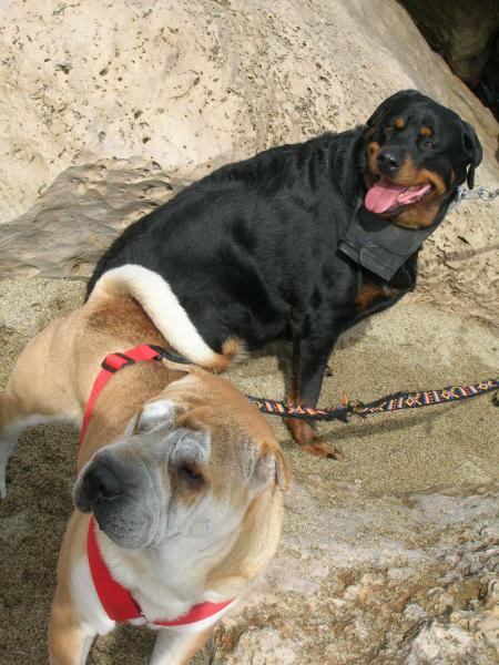 sur la plage avec ma meilleure amie