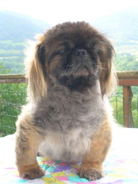 hum!�a sent bon la campagne!