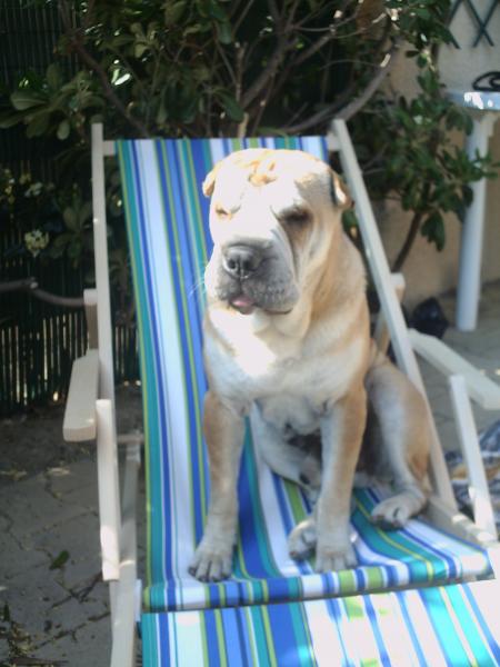 j'ai soif!en plus j'ai oubli� ma cr�me solaire!