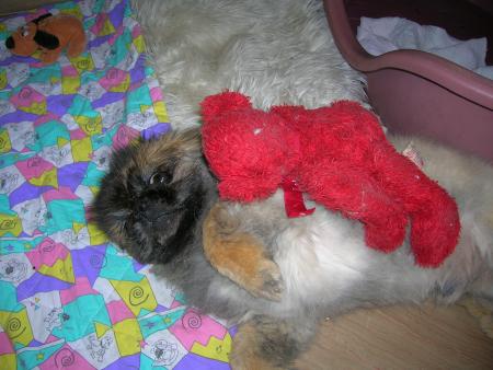 au secours!je suis attaqu� par mon nounours!!