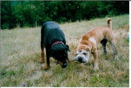 rends moi mon baton!