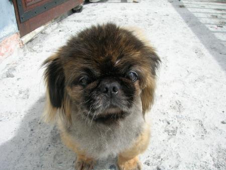 �a y est je suis enfin all� chez le coiffeur!