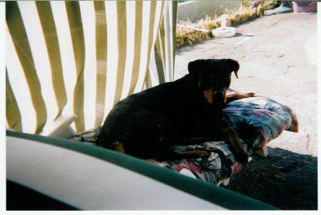 j'suis bien l�!!!!