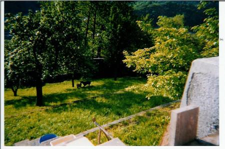 on joue � cache cache?