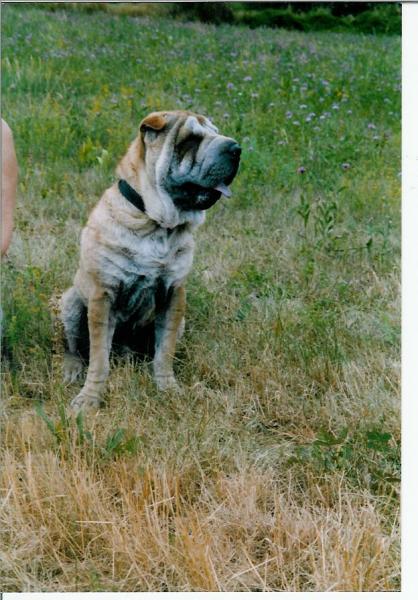 bon!o� est elle pass�e?