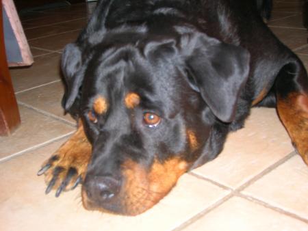 il faut que je prenne rendez-vous chez la manucure