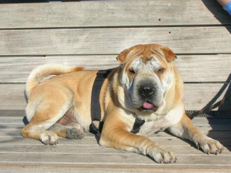 c'est bien les vacances!