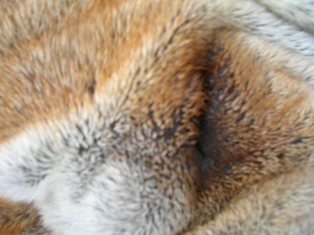 J'aime bien faire des grosses siestes!!!lol