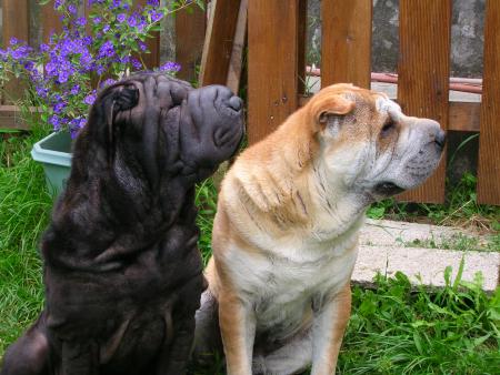 S'aimer c'est regarder ensemble dans la m�me direction.......