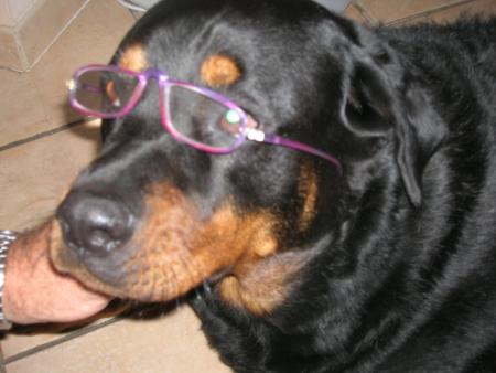 pas mal ces lunettes roses,c est chic ,non?