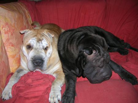 Cl�op�tre et Ugo