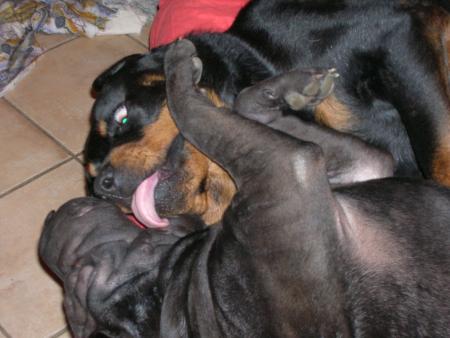 nous quand on joue ,on joue!!!!!