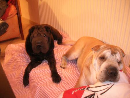 Maman m'a fait op�rer de mon oeil,j'y vois bien maintenant