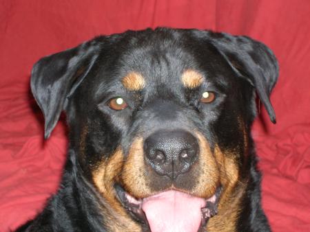 Bouh!!!!je vous tire la langue,nan�re....................